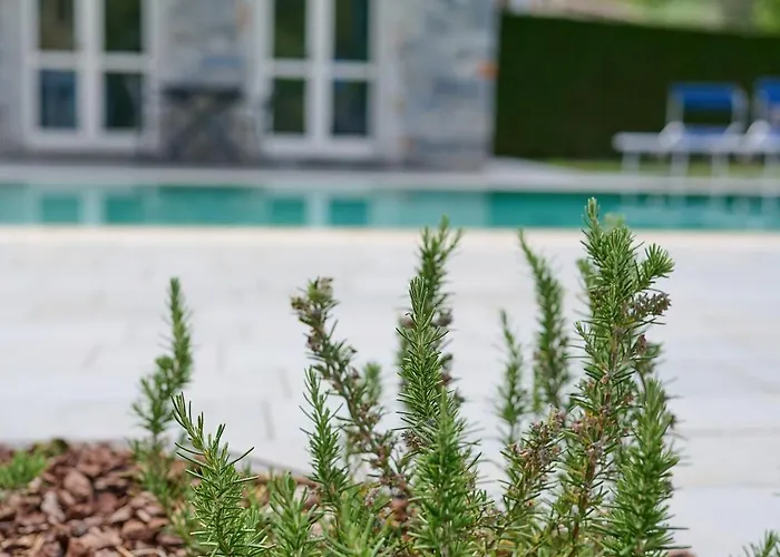 Uno Pool Side * בלאג'יו